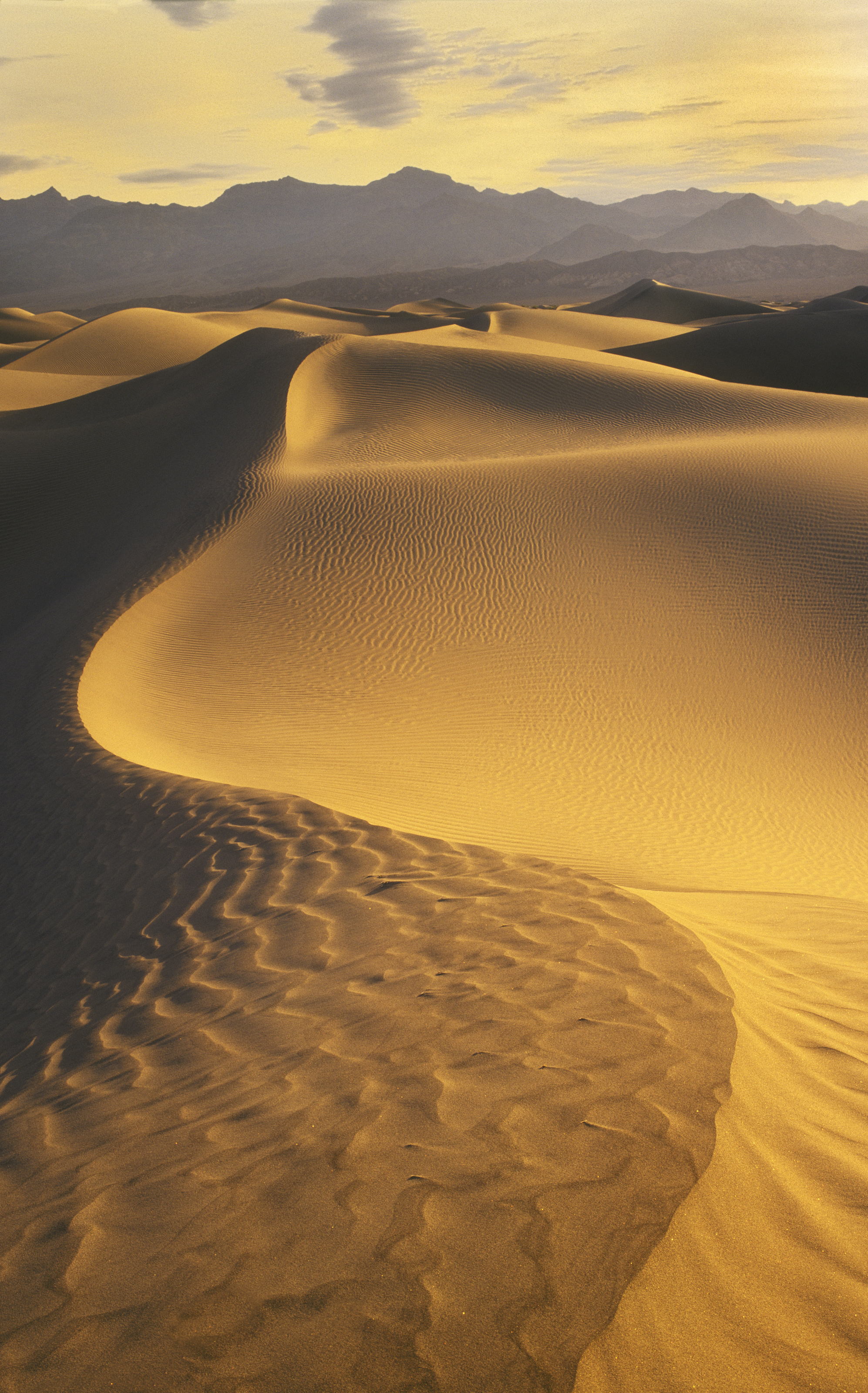 Sand Dunes Death Valley Mural - Steve Mohlenkamp - Murals Your Way