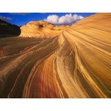 Sandstone Wave Wall Mural
