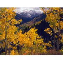 Capitol Peak In Fall Wall Mural
