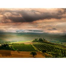 Quiet Tuscan Sunrise Wall Mural