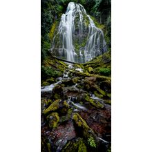 Oregon Proxy Falls Wall Mural