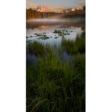 Wyoming Lillypad Pond In The Morning Wall Mural