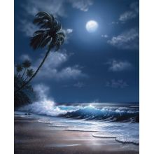 Tropical Moonlight Wall Mural