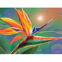 Bird Of Paradise Wall Mural