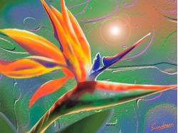 Bird-Of-Paradise-Wall-Mural