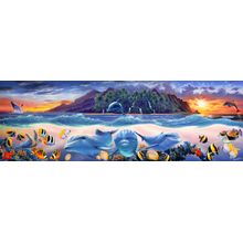 Tropic Dolphins Wall Mural