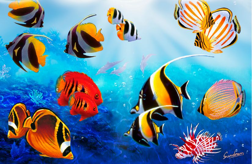 Tropical Fish Wall Mural Murals Your Way