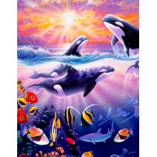 Orcas Wall Mural