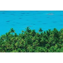 Polynesia's Lagoon Wall Mural