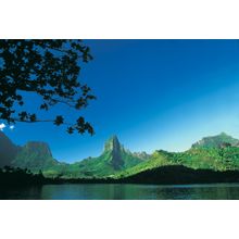 Opunohu's Bay, Moorea, French Polynesia Wall Mural