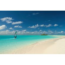 New Wind Caledonia Wall Mural