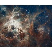 View Of A Star-forming Region Wall Mural
