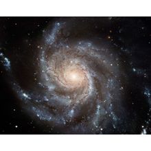 Stunning Pinwheel Galaxy Wall Mural
