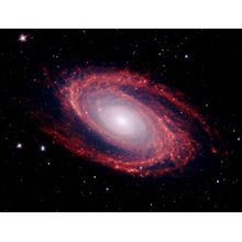 Galaxy Messier 81 Wall Mural