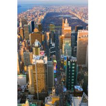 January Skyline Wall Mural