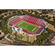 Stanford Stadium Wall Mural