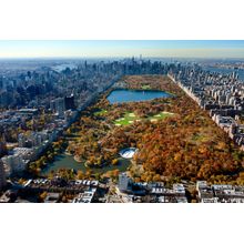 Central Park Fall Wall Mural