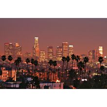 Los Angeles Skyline Wall Mural