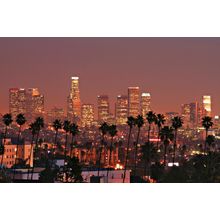 Los Angeles Skyline Mural Wallpaper