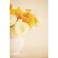 Ranunculus - Creamy And Gold Wall Mural