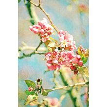 Spring Blossoms (Longenecker) Wall Mural