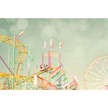 The Rollercoaster Wall Mural