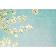 White Blossoms Wall Mural