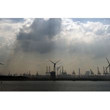 Dutch Windmills Wall Mural