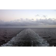 English Sea Wall Mural