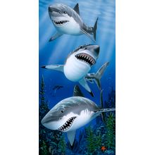 Great White Trio Wall Mural