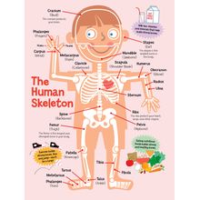 Human Skeleton - Boy Wall Mural