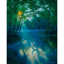 Peaceful Morning (Warren) Wall Mural