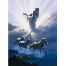 Wild Spirit Wall Mural