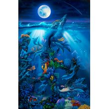 Dolphin Reef (Miller) Wall Mural