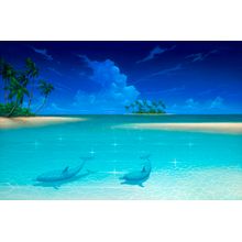 Dolphin Cove Wall Mural