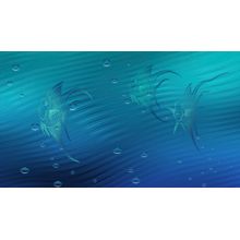 Blue Waters Wall Mural