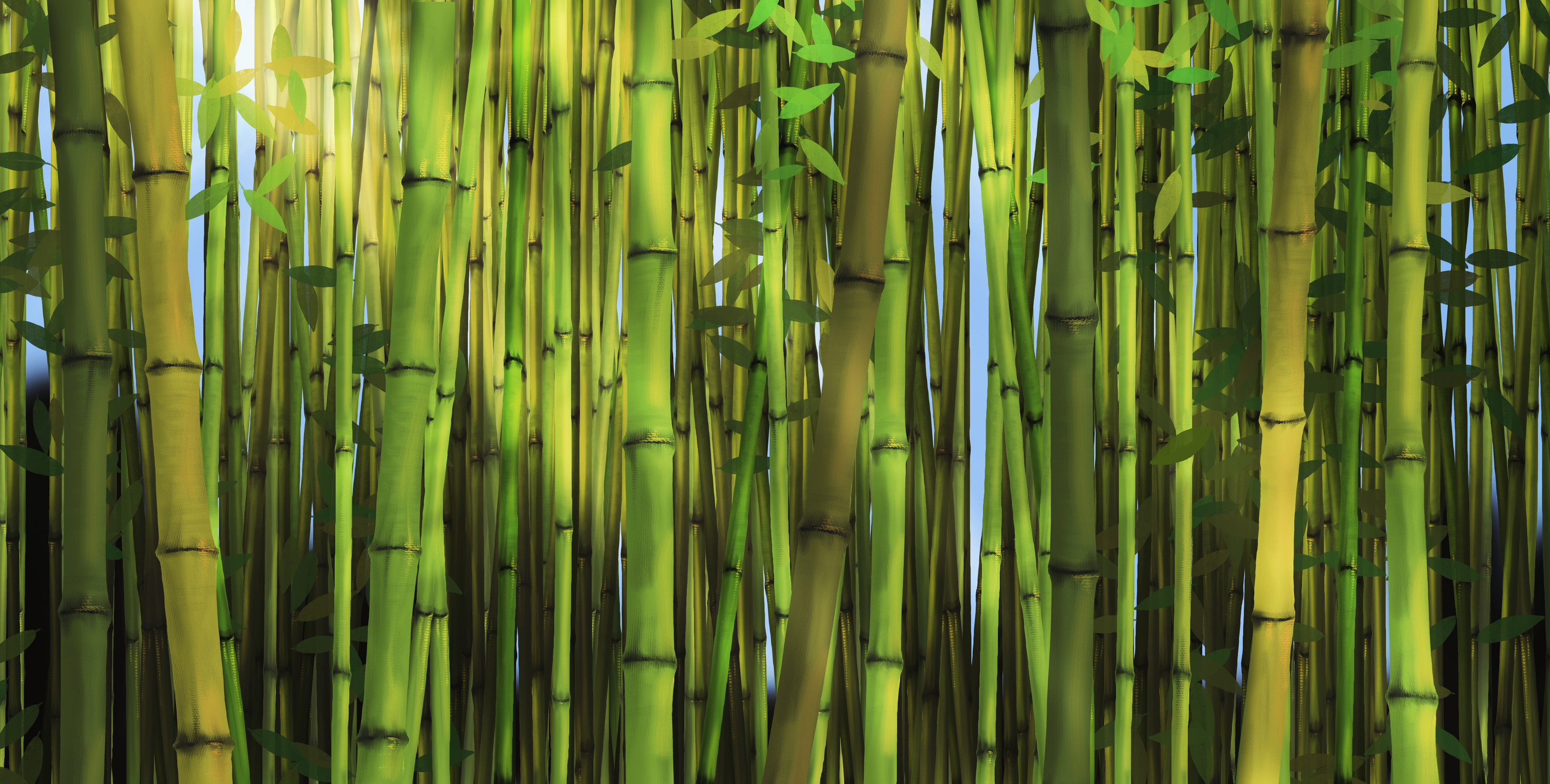 bamboo mural wallpaper