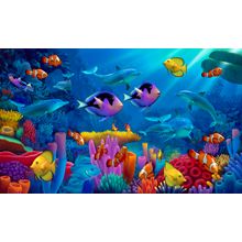 Ocean of Color Wall Mural
