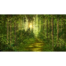 Spring Green Forest Wall Mural