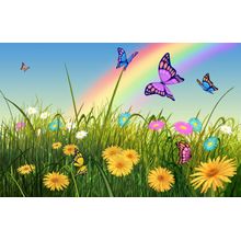 End of the Rainbow Wall Mural