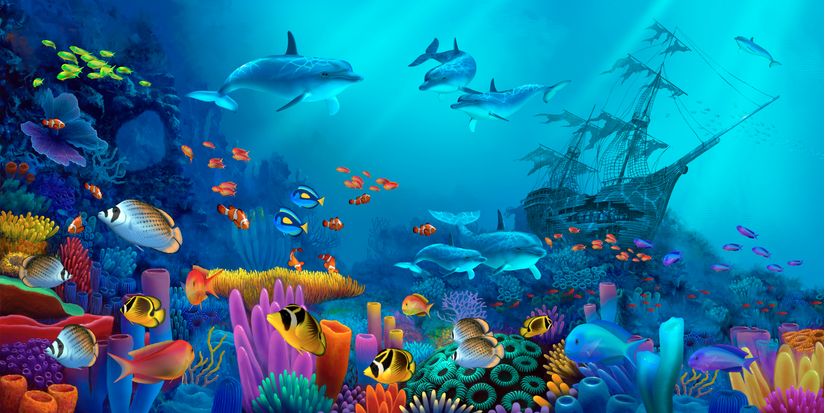 Aquarium Grade Adhesive Vinyl