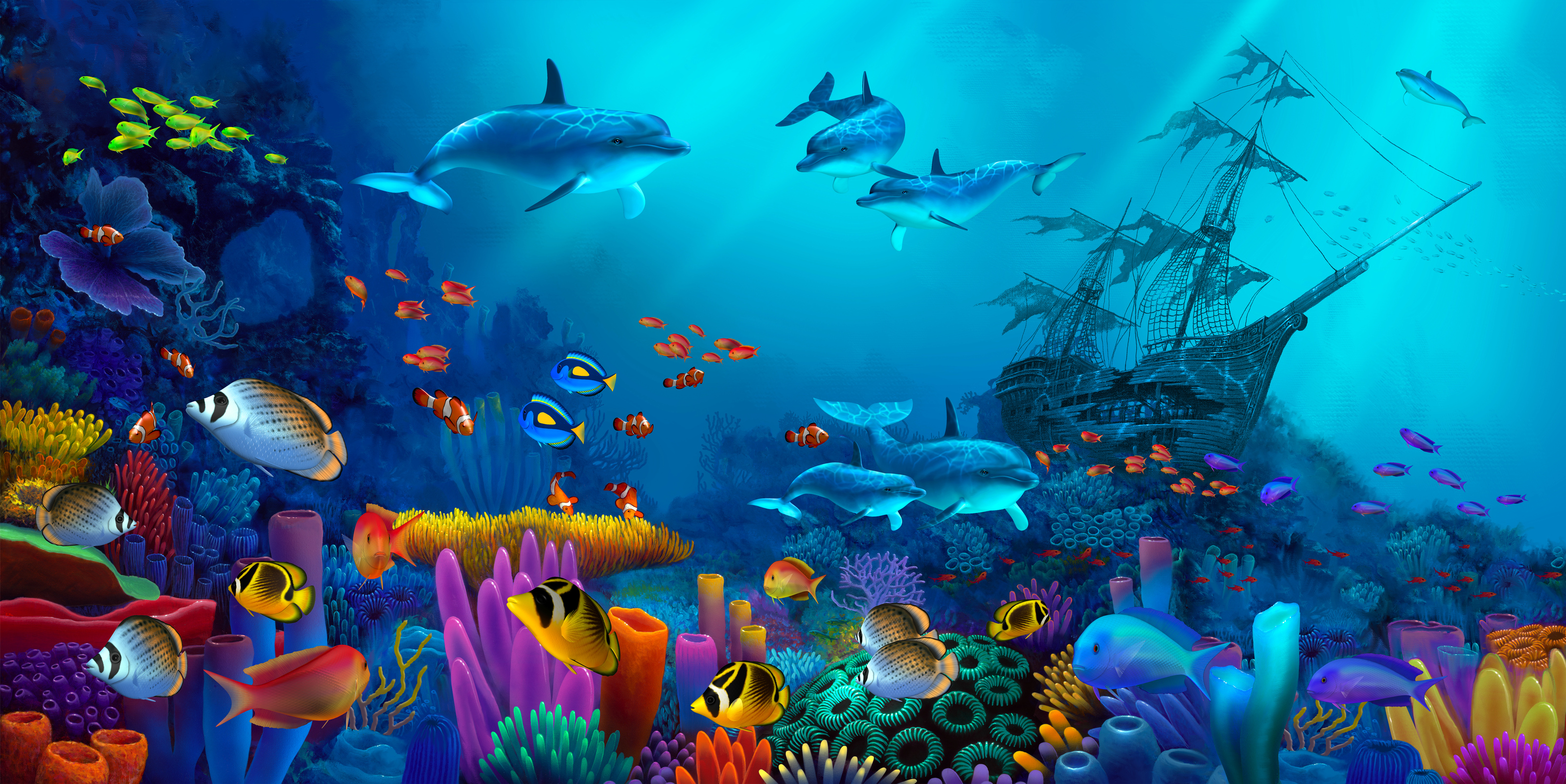 Ocean Wallpaper Photos, Download The BEST Free Ocean Wallpaper Stock Photos  & HD Images