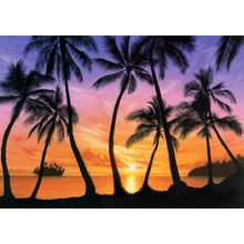 Palm Beach Sundown Wall Mural
