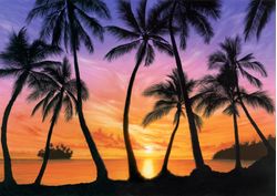 Palm-Beach-Sundown-Wall-Mural