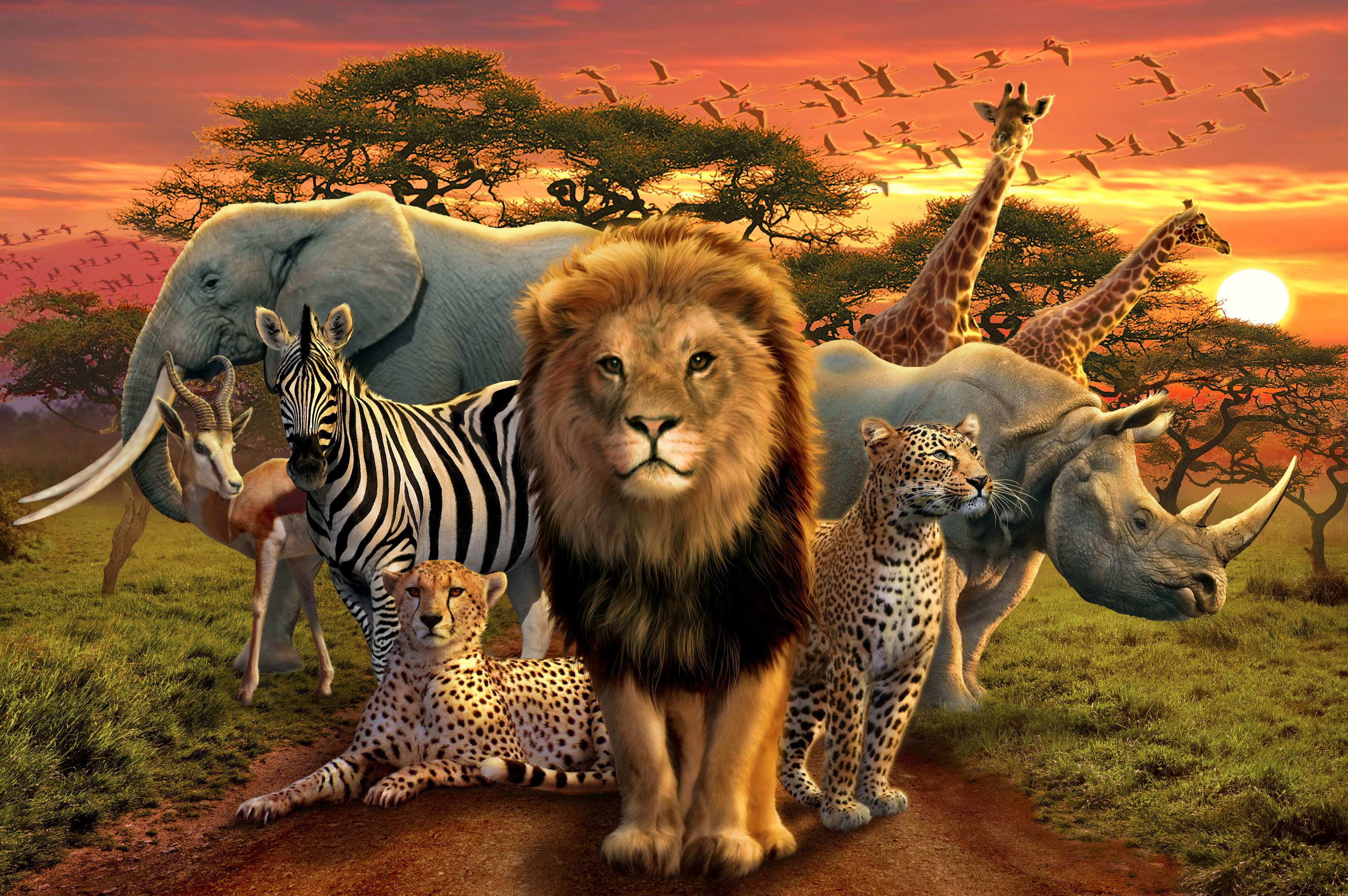 Animaux d'Afrique d'Andrew Farley en poster, tableau sur toile et plus