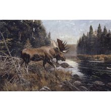 Algonquin Sunning Wall Mural