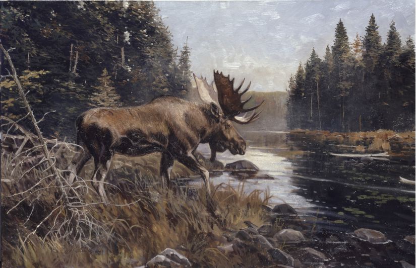 Algonquin Sunning Wall Mural - Murals Your Way