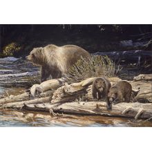 Bear with Cubs Wall Mural