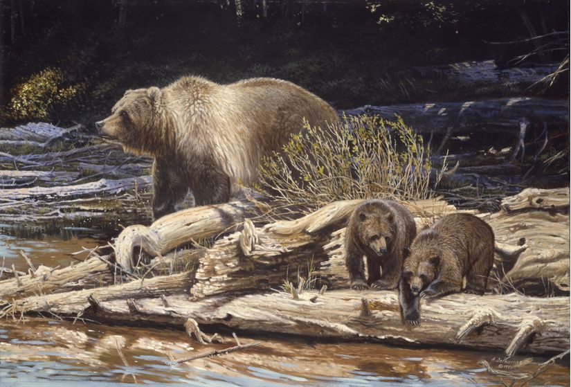 Mama Bear and Cubs Mural - Murals Your Way, mama bear 