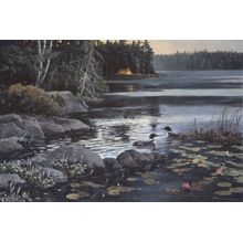 Northern Visitors Wall Mural